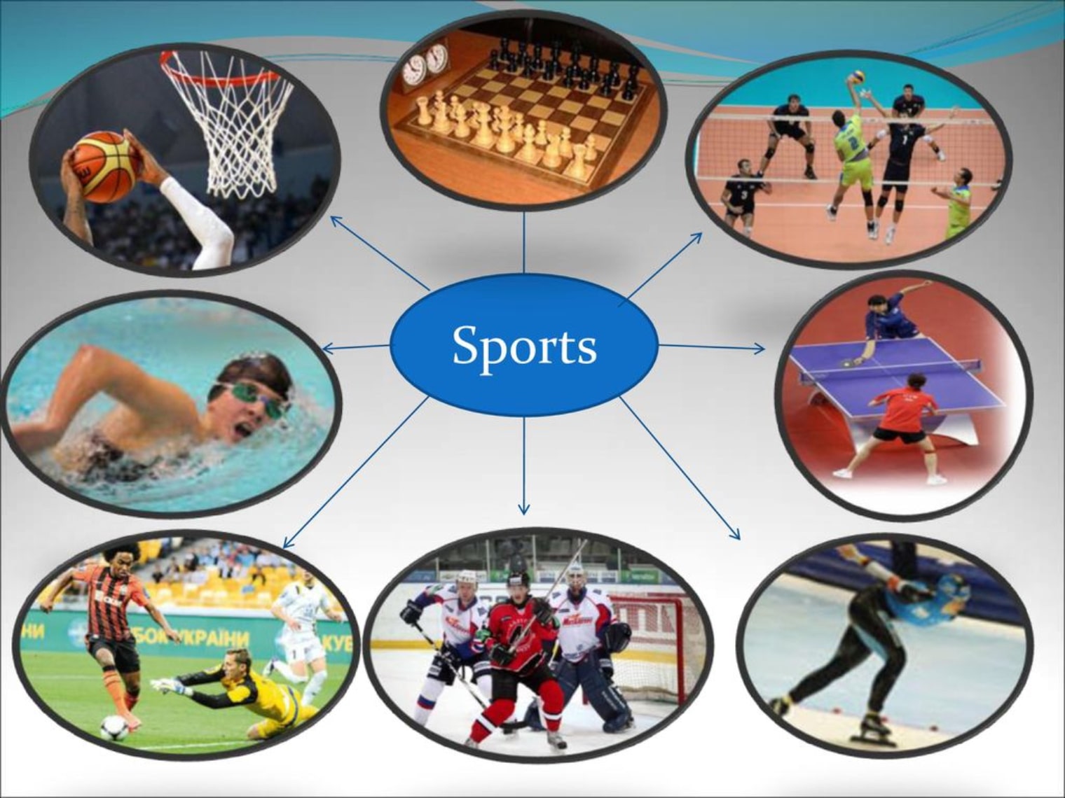 انواع ورزش ها کدامند؟